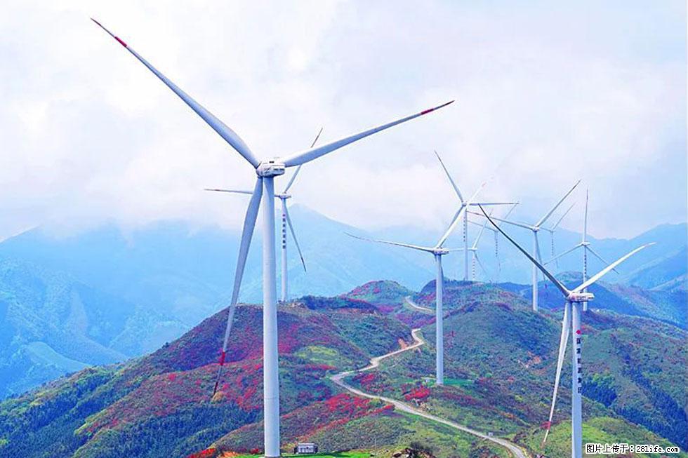 【春天,广西桂林灌阳县向您发出邀请!】春木界上映山红 - 游山玩水 - 黑河生活社区 - 黑河28生活网 heihe.28life.com