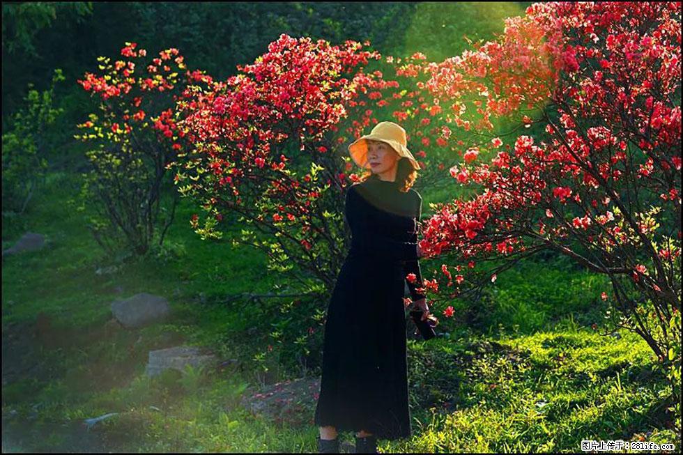 【春天,广西桂林灌阳县向您发出邀请!】春木界上映山红 - 游山玩水 - 黑河生活社区 - 黑河28生活网 heihe.28life.com