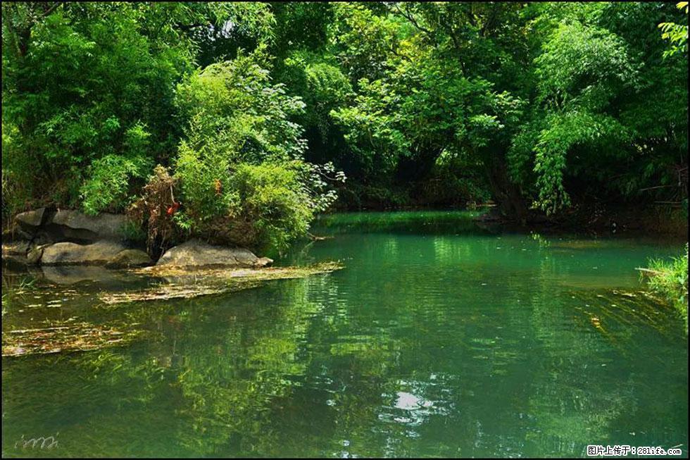 【春天,广西桂林灌阳县向您发出邀请!】如梦似幻莲溪庐 - 游山玩水 - 黑河生活社区 - 黑河28生活网 heihe.28life.com