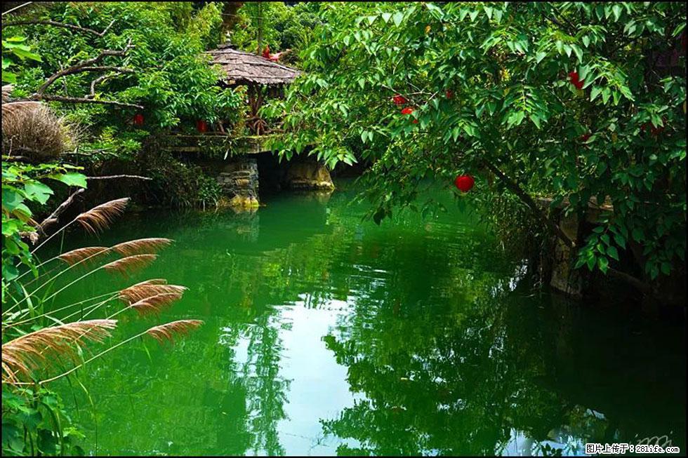 【春天,广西桂林灌阳县向您发出邀请!】如梦似幻莲溪庐 - 游山玩水 - 黑河生活社区 - 黑河28生活网 heihe.28life.com