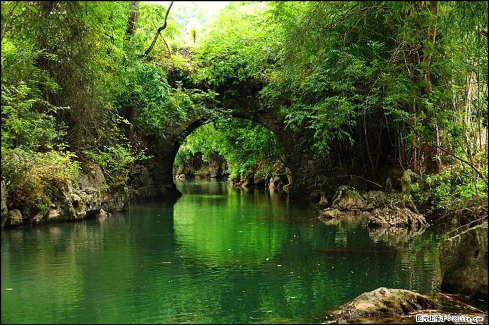 【春天,广西桂林灌阳县向您发出邀请!】如梦似幻莲溪庐 - 游山玩水 - 黑河生活社区 - 黑河28生活网 heihe.28life.com