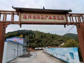 【灌阳县油茶产业示范区】一个有着充实的精神生活的人，对待身外之物自会有一种淡泊的态度 - 黑河28生活网 heihe.28life.com