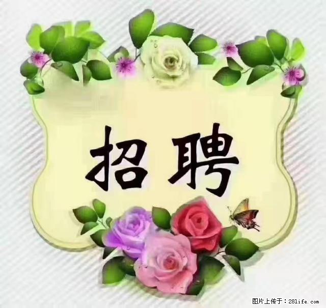 【招聘】住家育儿嫂，上户日期：4月4日，工作地址：上海 黄浦区 - 职场交流 - 黑河生活社区 - 黑河28生活网 heihe.28life.com