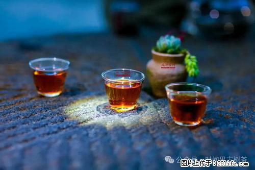 时间果百年古树2025年春红茶 - 购物交流 - 黑河生活社区 - 黑河28生活网 heihe.28life.com