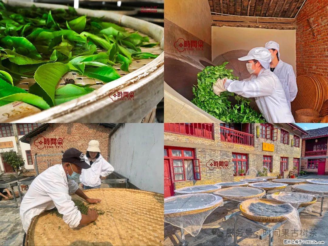 时间果百年古树龙珠普洱生茶 - 购物交流 - 黑河生活社区 - 黑河28生活网 heihe.28life.com