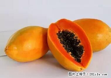 晕车、脚气、牙齿变黄、皮肤粗糙?学会这些三分钟搞定! - 黑河生活资讯 - 黑河28生活网 heihe.28life.com