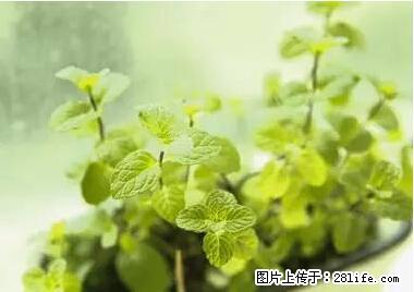 晕车、脚气、牙齿变黄、皮肤粗糙?学会这些三分钟搞定! - 黑河生活资讯 - 黑河28生活网 heihe.28life.com