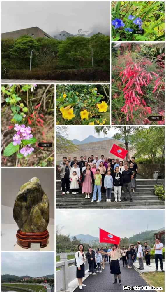 “粤灌文化 美好生活”油茶文化主题活动在广东深圳成功举办 - 黑河生活资讯 - 黑河28生活网 heihe.28life.com