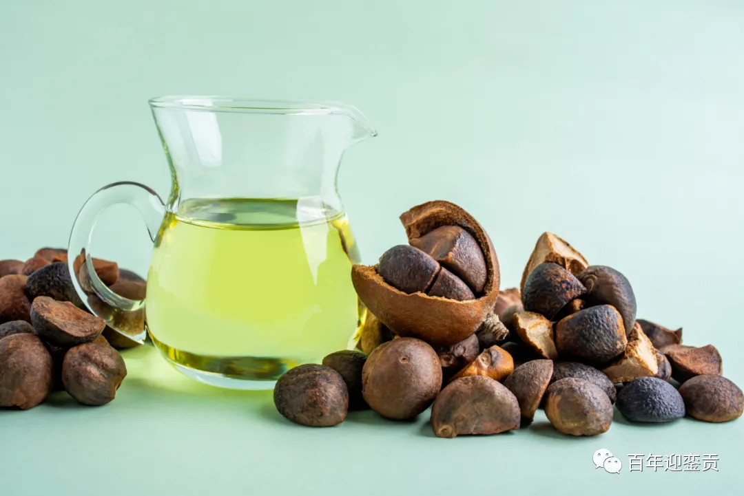 世界没有真相,只有认知,最好的食用油是中国的山茶油! - 黑河生活资讯 - 黑河28生活网 heihe.28life.com