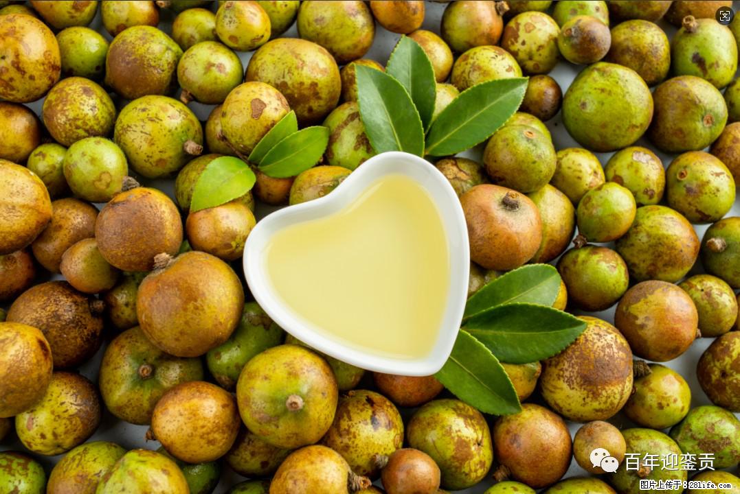 世界没有真相,只有认知,最好的食用油是中国的山茶油! - 黑河生活资讯 - 黑河28生活网 heihe.28life.com