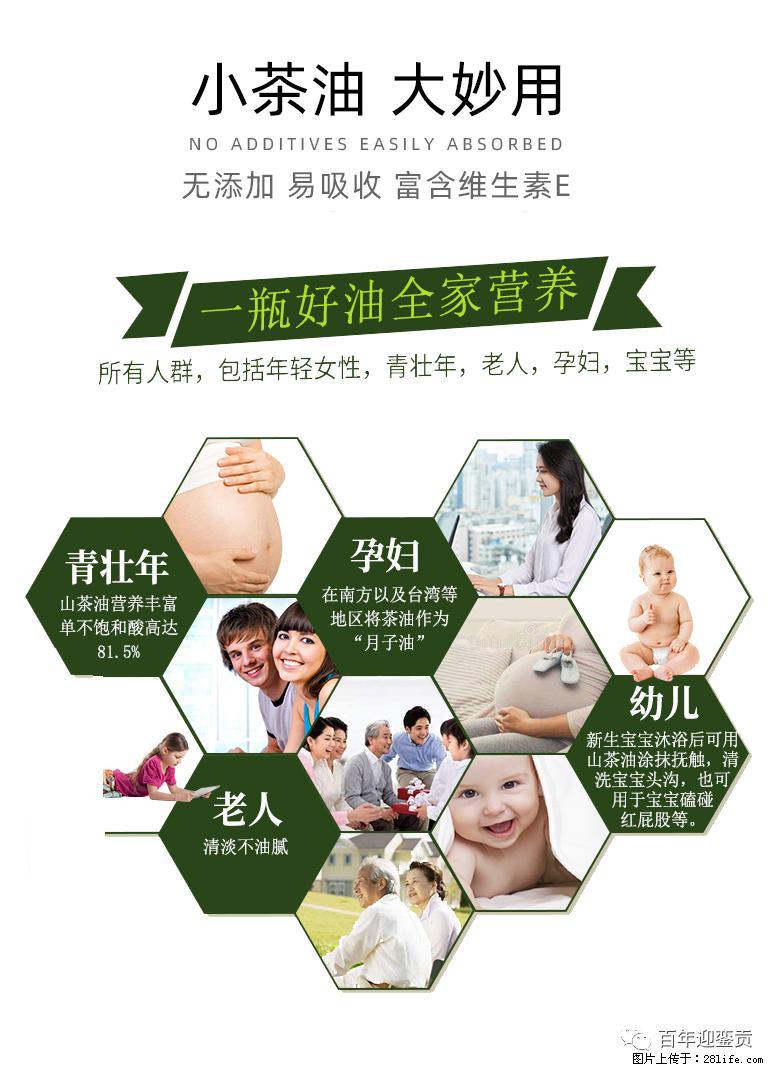 世界没有真相,只有认知,最好的食用油是中国的山茶油! - 黑河生活资讯 - 黑河28生活网 heihe.28life.com