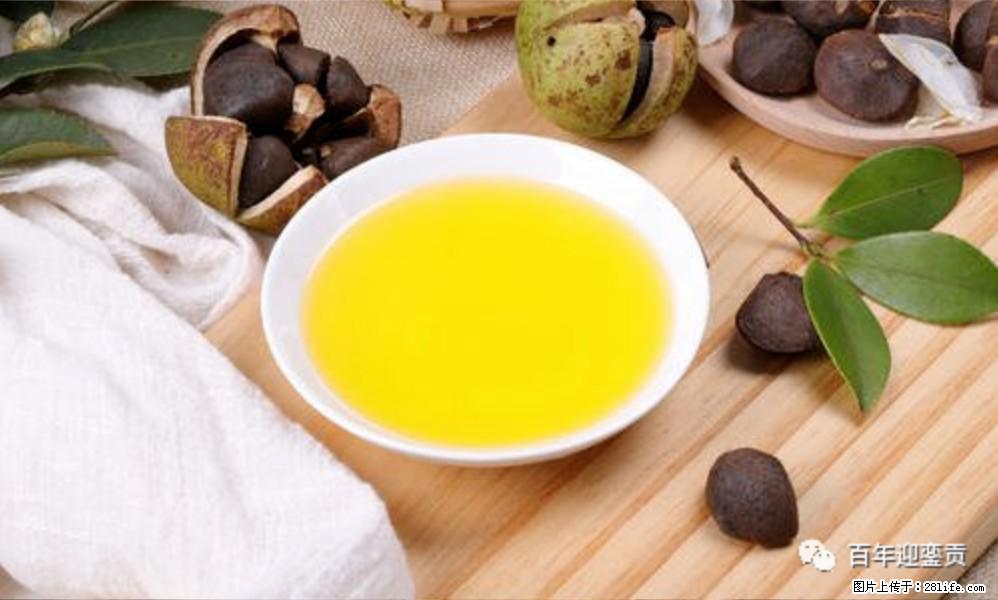 世界没有真相,只有认知,最好的食用油是中国的山茶油! - 黑河生活资讯 - 黑河28生活网 heihe.28life.com