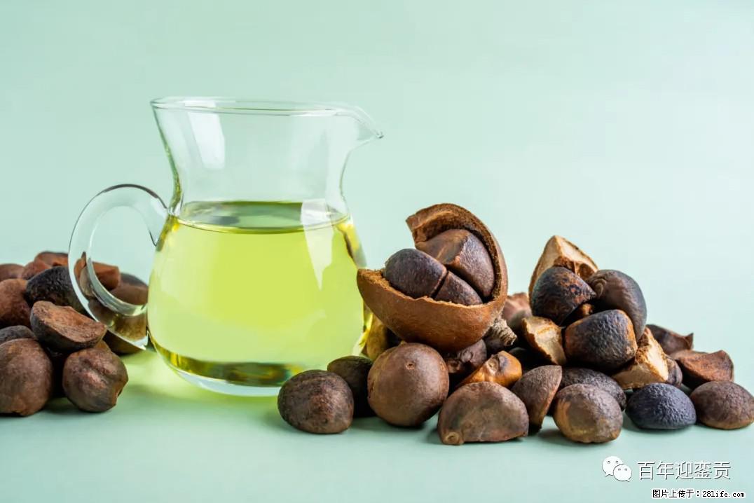 世界没有真相,只有认知,最好的食用油是中国的山茶油! - 黑河生活资讯 - 黑河28生活网 heihe.28life.com