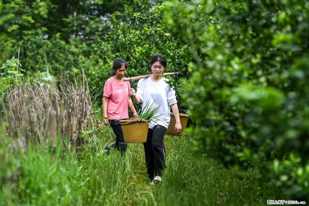 全网追的“扁担女孩”，找了一份暑假工，时薪12元 - 黑河生活资讯 - 黑河28生活网 heihe.28life.com