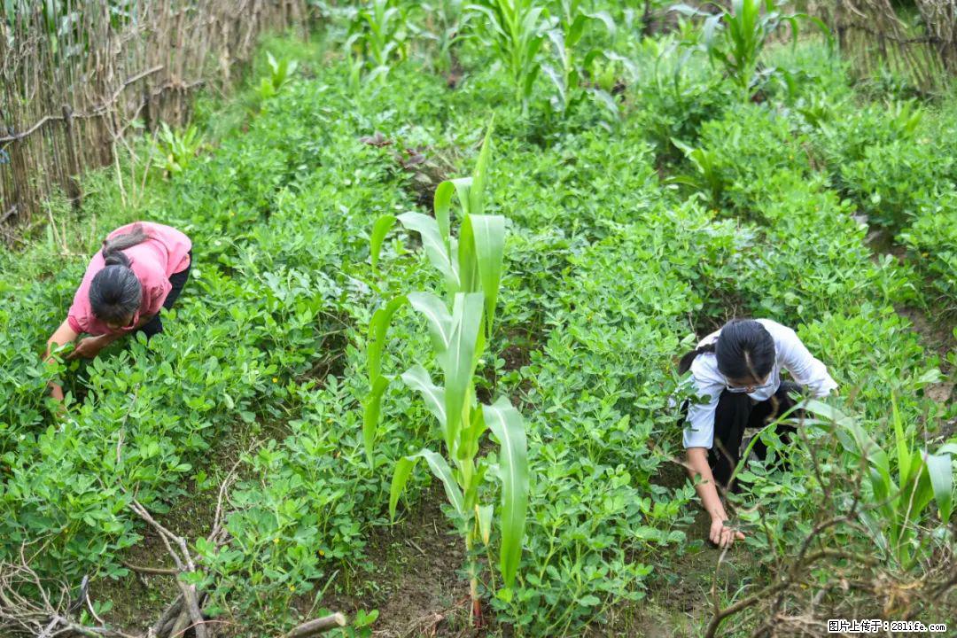 全网追的“扁担女孩”，找了一份暑假工，时薪12元 - 黑河生活资讯 - 黑河28生活网 heihe.28life.com