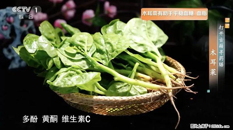 比牛奶补钙还厉害!凉血解毒、稳血糖...这菜冬天必吃,很多人却当草 - 黑河生活资讯 - 黑河28生活网 heihe.28life.com