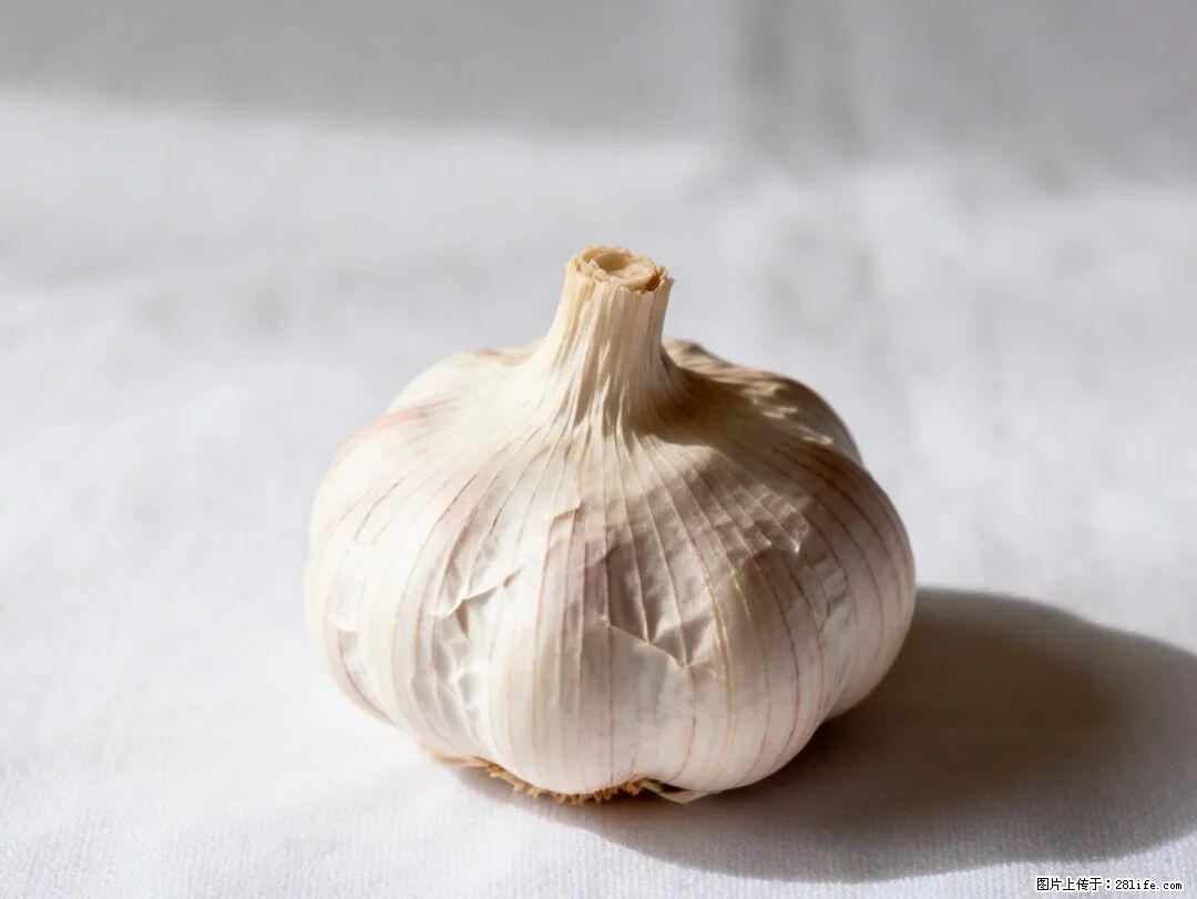关于大蒜，除了“天然抗生素”，这4个谣言更该警惕! - 黑河生活资讯 - 黑河28生活网 heihe.28life.com