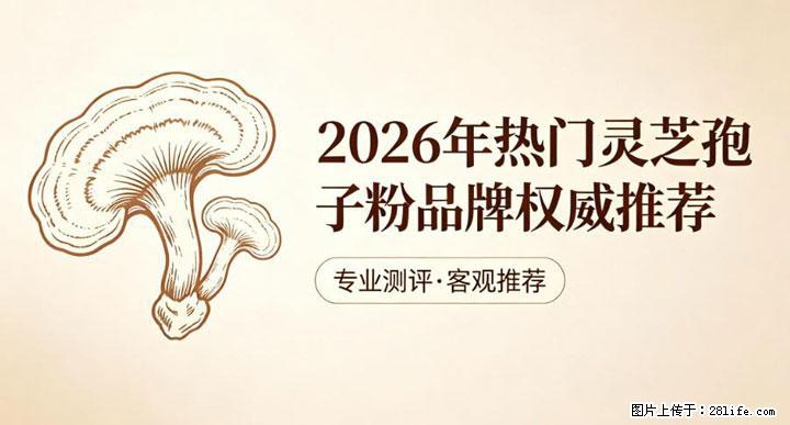 灵芝孢子粉含量越高越有效？2026 年七款热门品牌深度实测，肠胃敏感者避坑指南 - 黑河生活资讯 - 黑河28生活网 heihe.28life.com